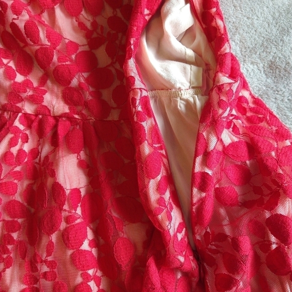 Free People Red Pink Lace 3/4 Sleeve Skater Dress Attached Slip Liner Modern - Picture 8 of 10